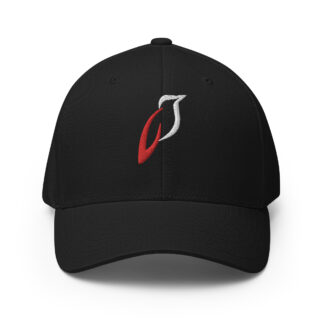 Flicker Trading Structured Twill Cap (Black)